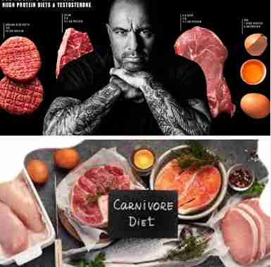 Joe Rogan Carnivore Diet