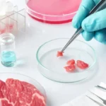 Why Lab-Grown Meat Is Bad