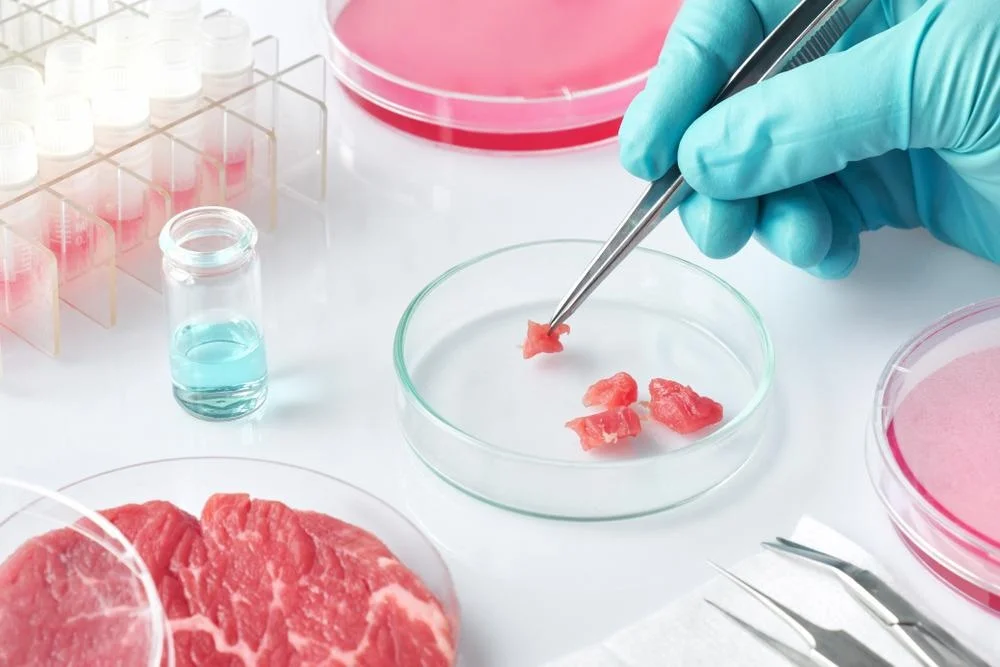 Why Lab-Grown Meat Is Bad